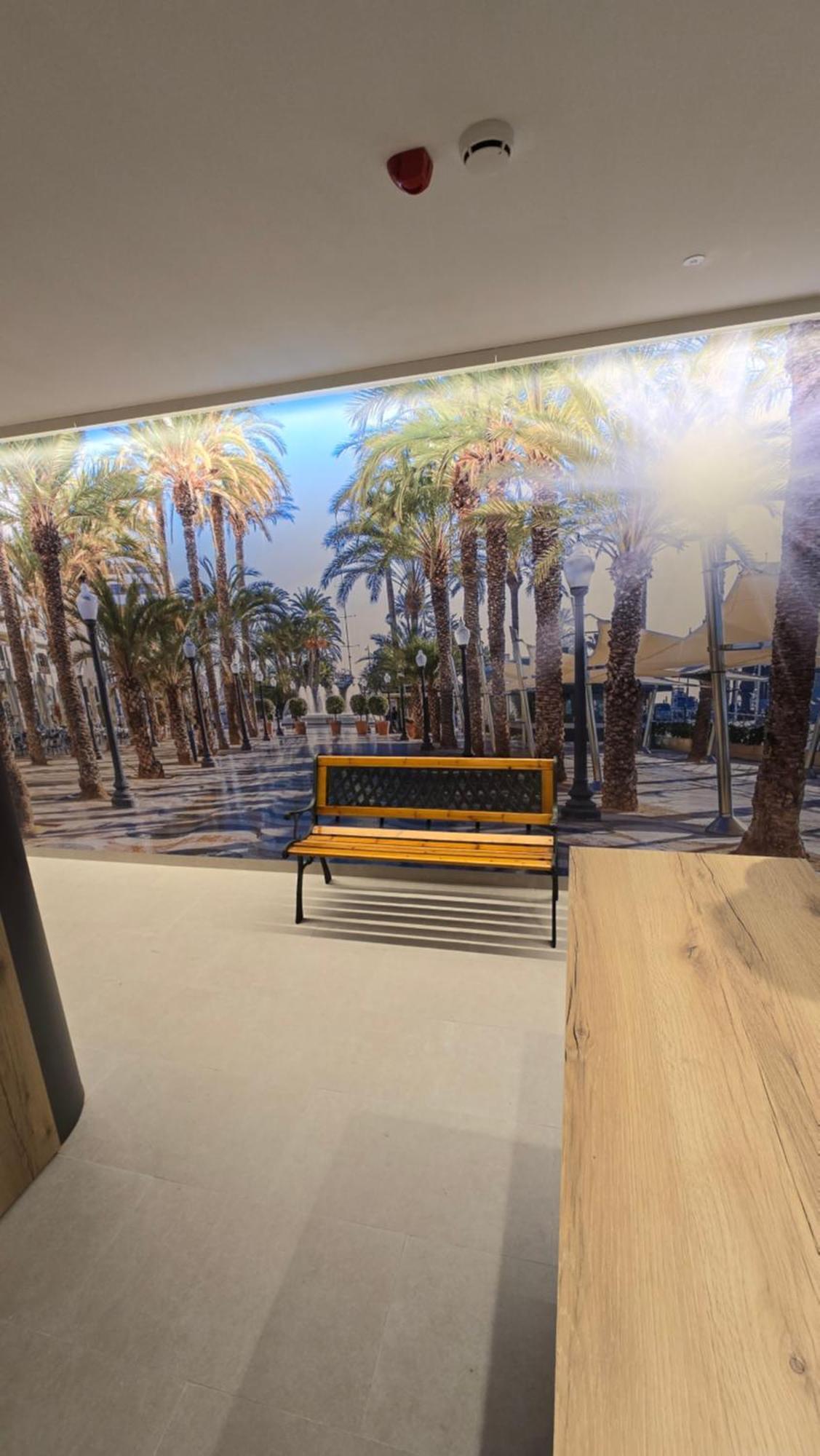 Hostal Rambla 24 By Holihome Alicante Dış mekan fotoğraf